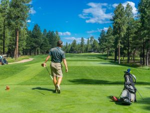 Jin Young Ko: Dominating Golf and Breaking Records