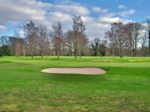 The Environmental Impact of Golf Course Management: Sustainable Practices for 2025