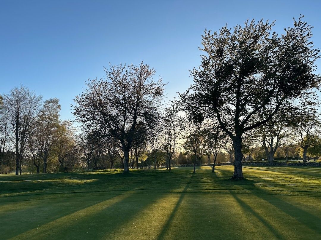 Tree-lined parkland fairway with long shadows across the grass