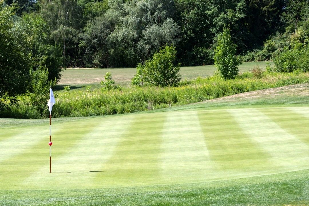 Golf putting green with a flagstick and red ball marker